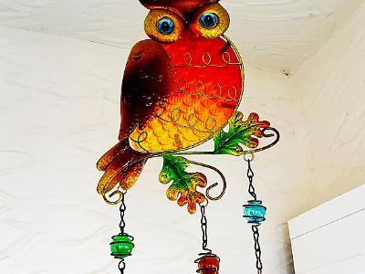 Owl-orange-002