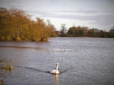 Bolam-Lake2