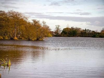 Bolam-lake1