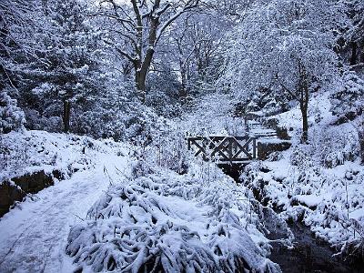 Saltwell parkdec09 0024