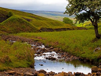 Teesdale2021-06-16-004