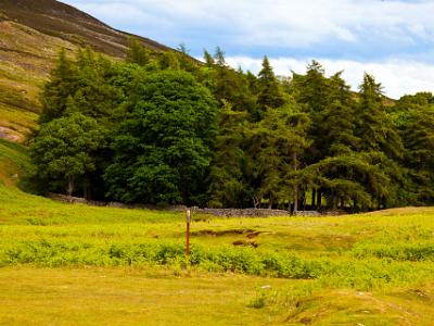 Teesdale2021-06-16-006