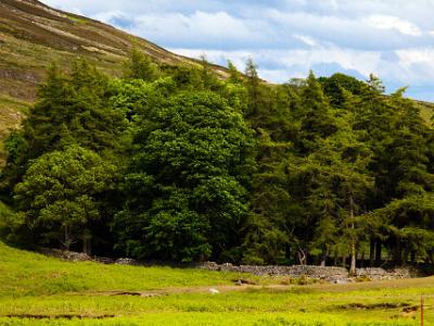 Teesdale2021-06-16-008