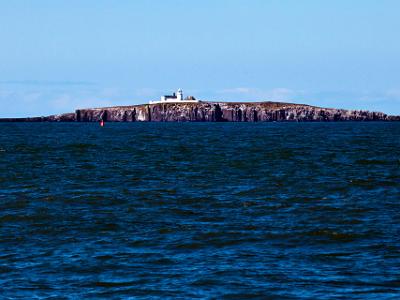 Farne-Islands2021-04-12-002